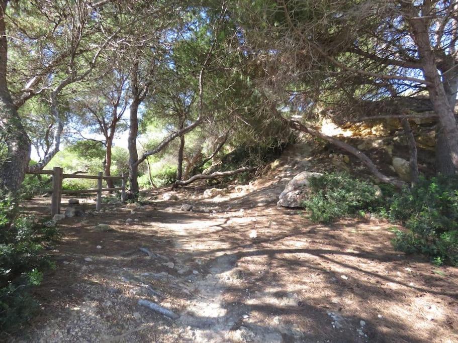 Coqueto Alojamiento Con Banera De Hidromasaje Lejlighed Tarragona Eksteriør billede